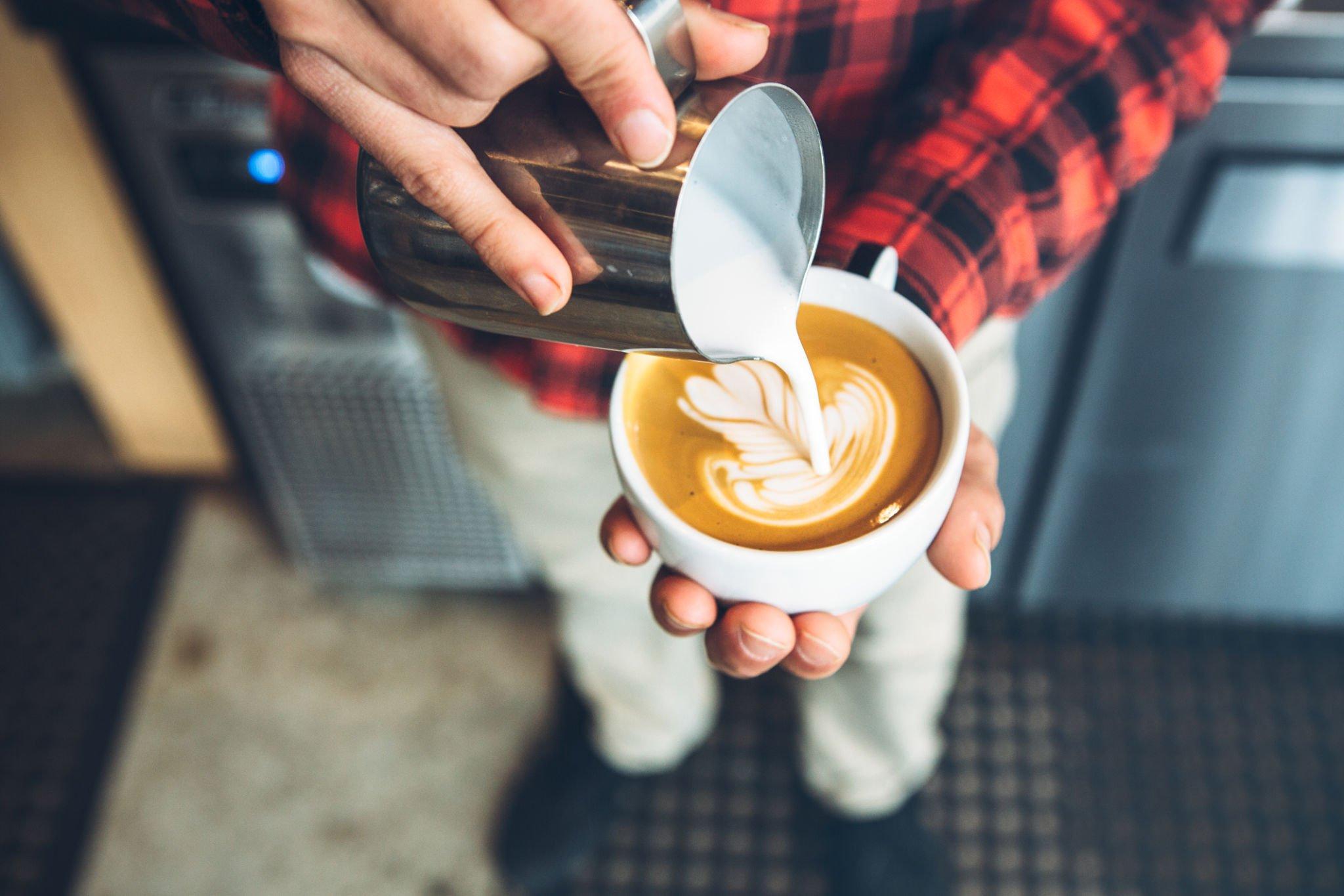 Steamed vs Frothed Milk: Which Makes the Perfect Cup?