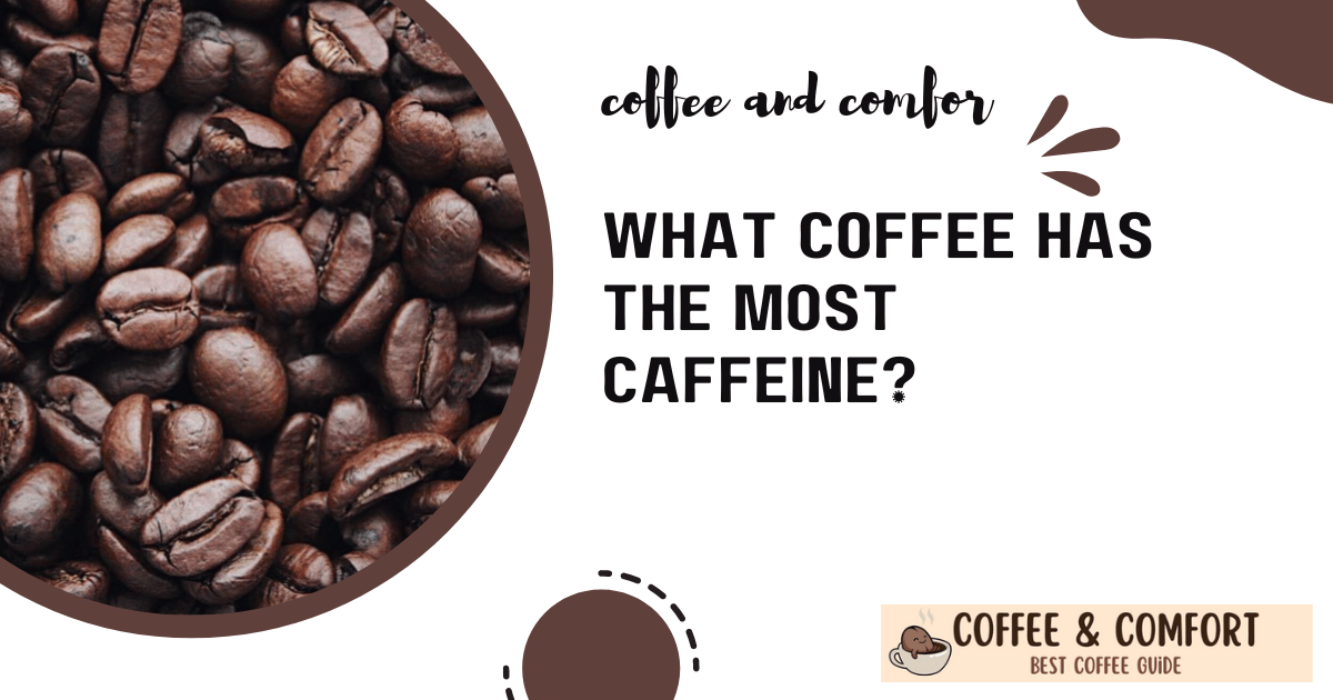 What coffee has the most caffeine?