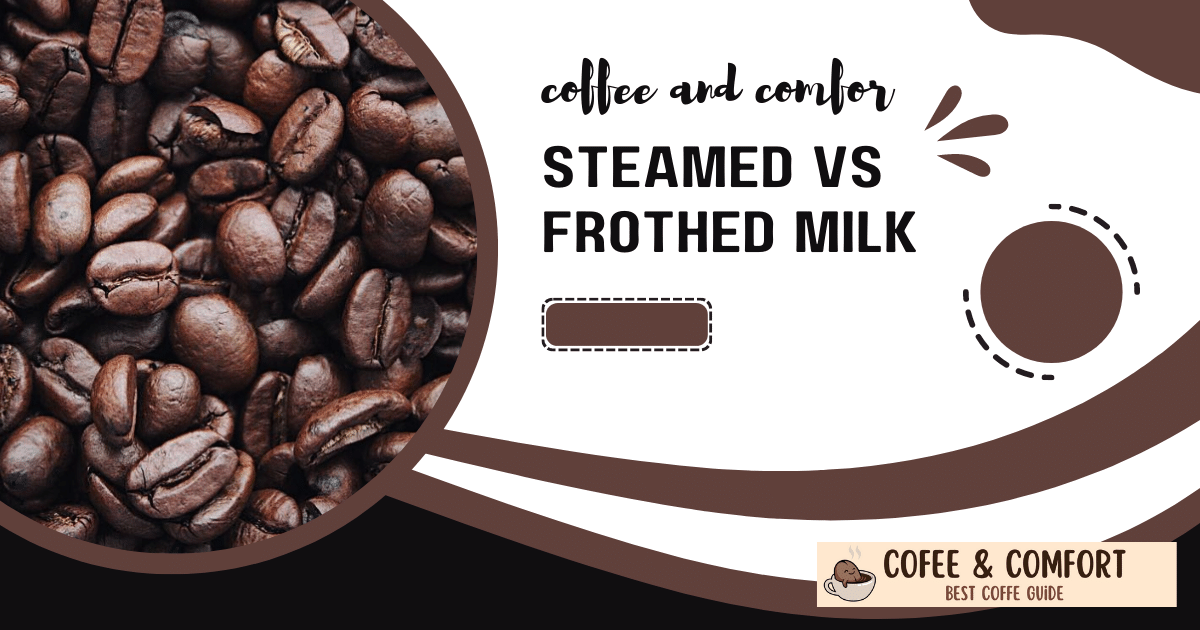 Steamed vs Frothed Milk: Which Makes the Perfect Cup?