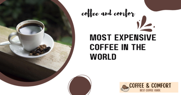 Most Expensive Coffee In The World Coffeeandcomfort