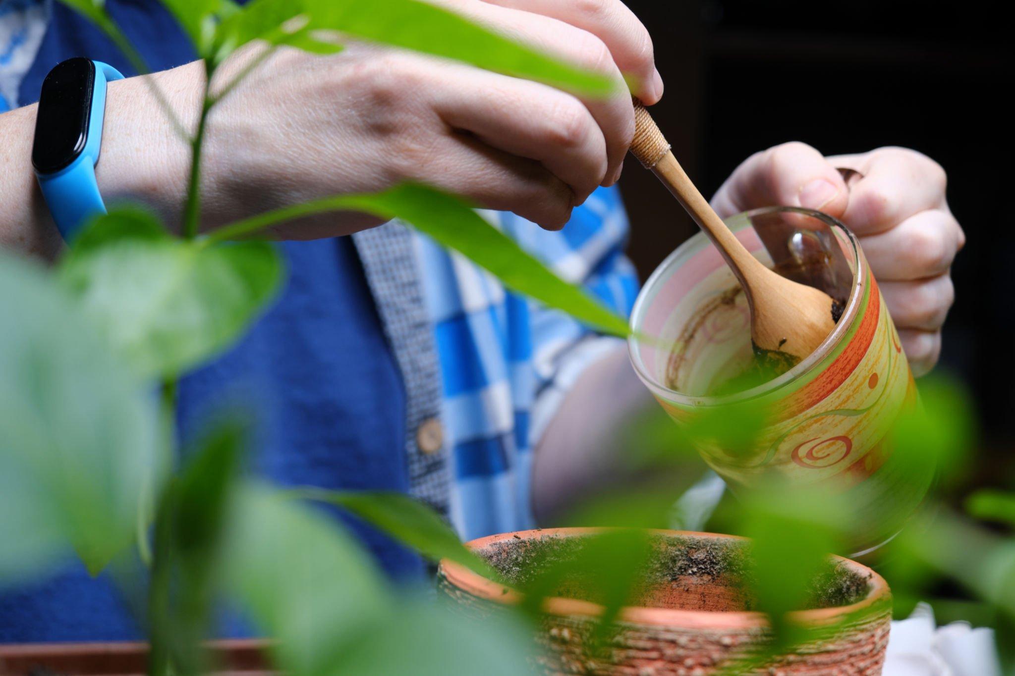 Why Coffee Grounds Are Good For Plants