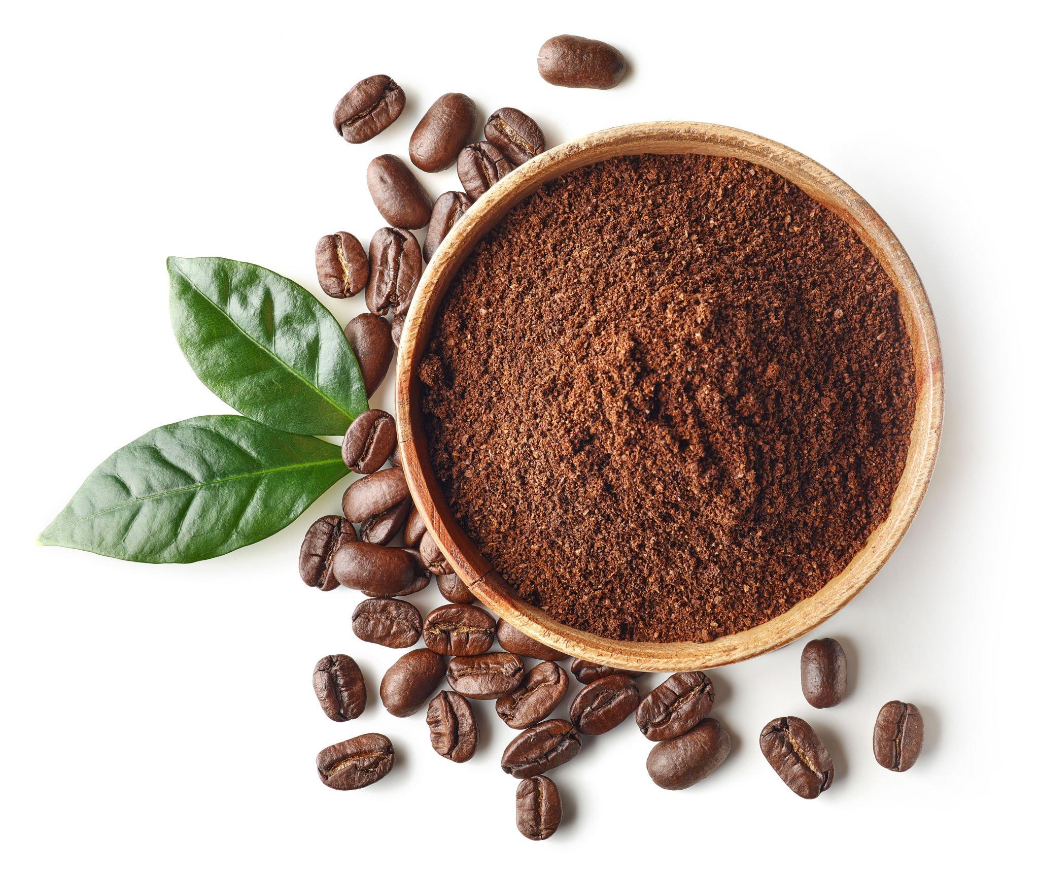 Why Coffee Grounds Are Good For Plants
