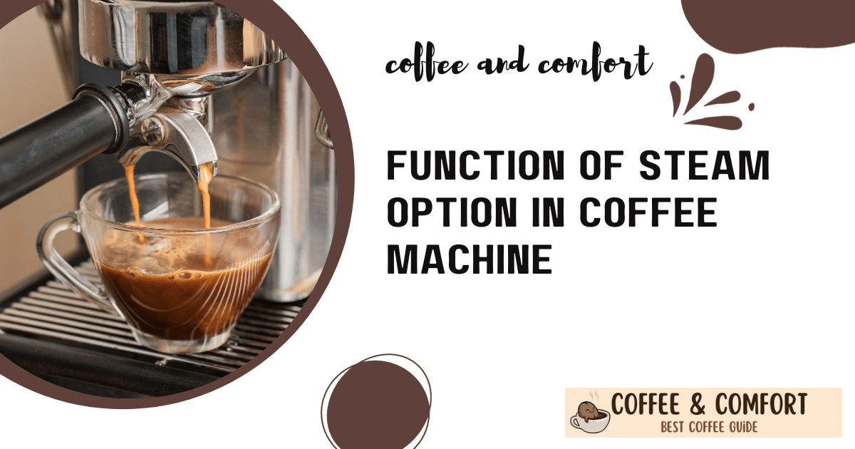What's the function of the steam option in coffee machine?