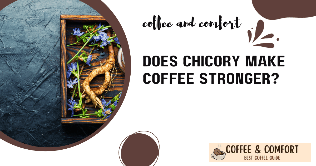 Does chicory make coffee stronger?